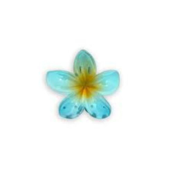 piranha cab. bellesa flor peq.