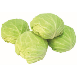 repolho verde 1,5kg - aproximadamente 1unidade