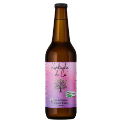 bebida kombucha da ca 365ml uva