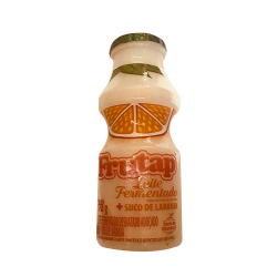 leite fermentado frutap 170g laranja