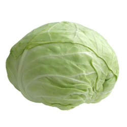 repolho - 1,5kg - aproximadamente 1 unidade