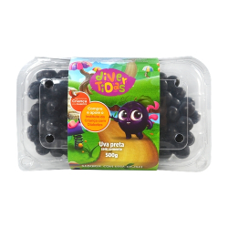 その他 kiwi Kiwi Frutim Importado 600g - Stok Online
