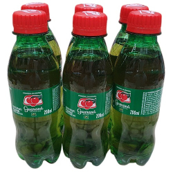 refrig guarana antarc trad pet