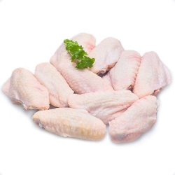 meio da asa tulipa kg