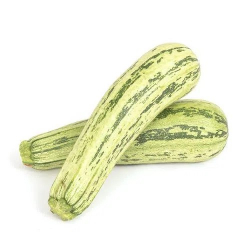 abobrinha brasileira 700g - aproximadamente 2 unidade