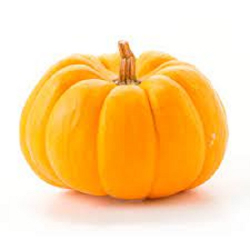 abobora moranga 500g