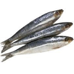 sardinha salgada - 500g