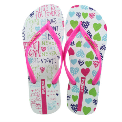 sandalia ipanema feminina sem igual un