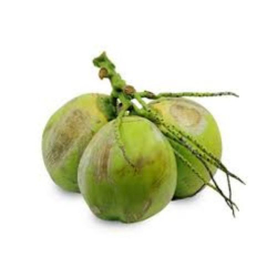 coco verde - 1 unidade