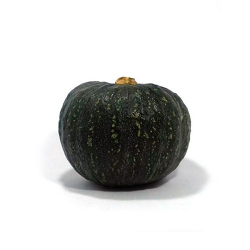 abobora cabotia 2,100kg