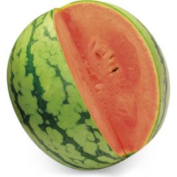melancia kodama - 10kg - aproximadamente 1 unidade