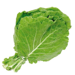 couve mateiga - unidade