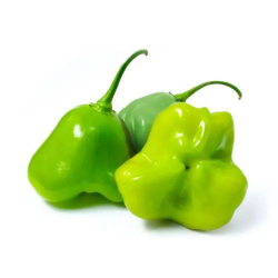 pimenta cambuci - 200g