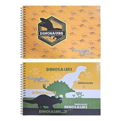 cad.cartografia maxima 96f dino