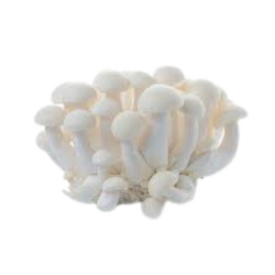 cogumelo shimeji branco - bandeja 200g