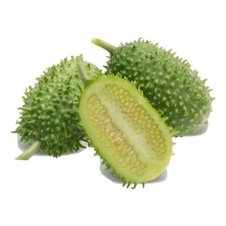 maxixe - 250g - aproximadamente 4 unidades
